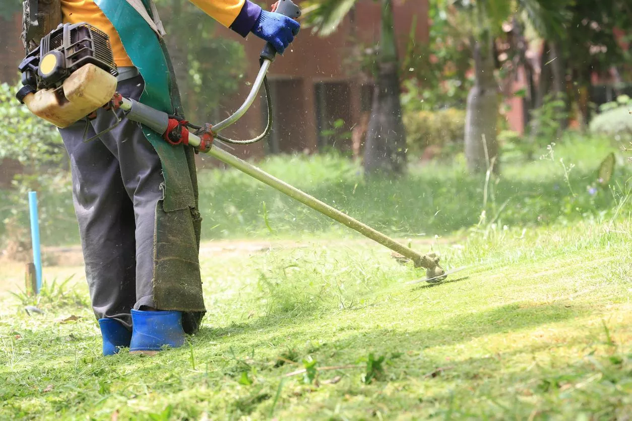 Débroussaillage de vos espaces verts