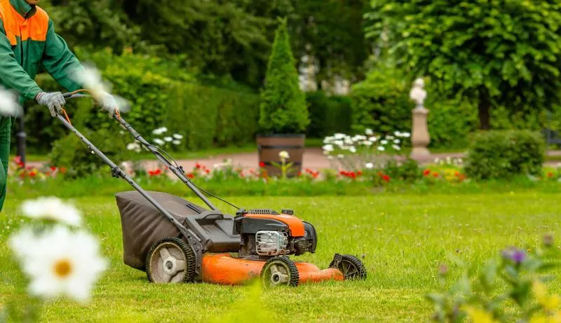 Jardinage et Bricolage