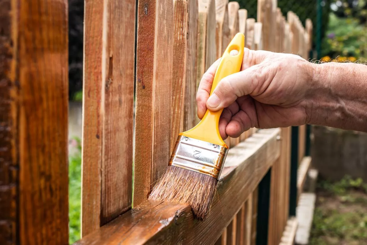 Petits travaux de peinture et entretien