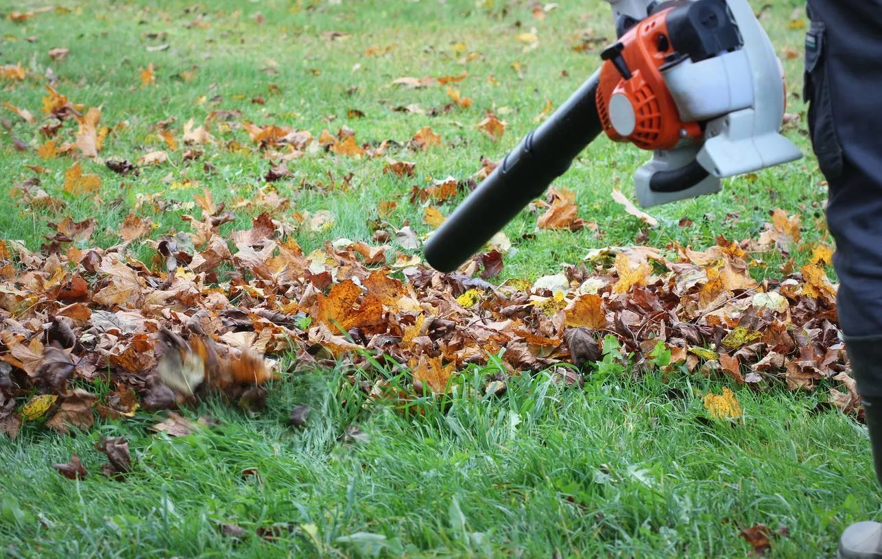 Ramassage des feuilles