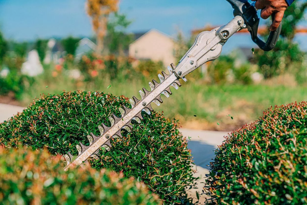 Aide pour le jardinage